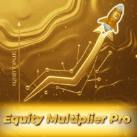 Equity Multiplier Pro